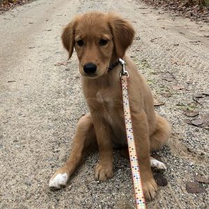 Meet your Posher, Cianna